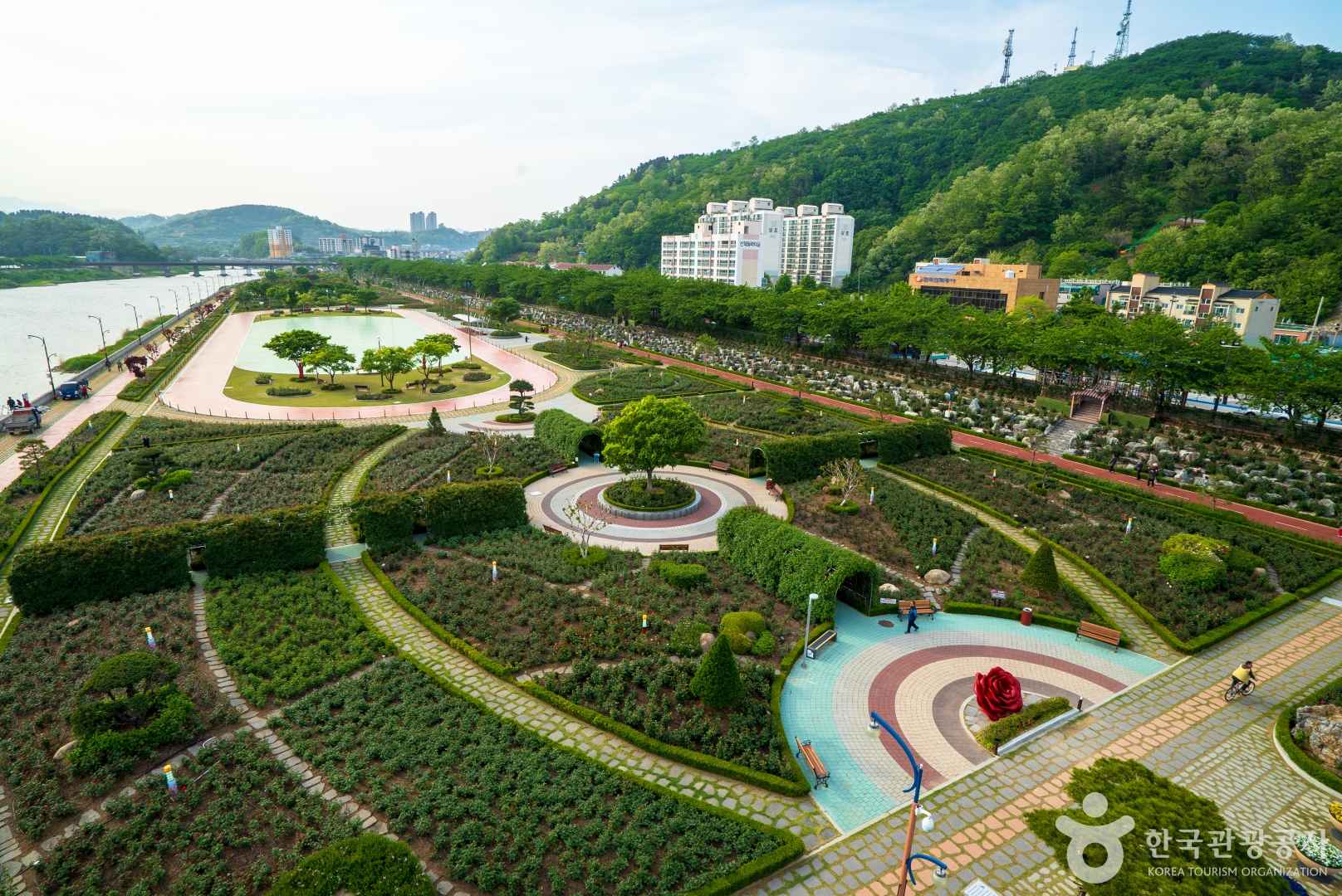 삼척 장미공원