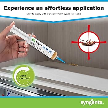 바퀴벌레 종류별 특징 (한국에서 흔한 종)