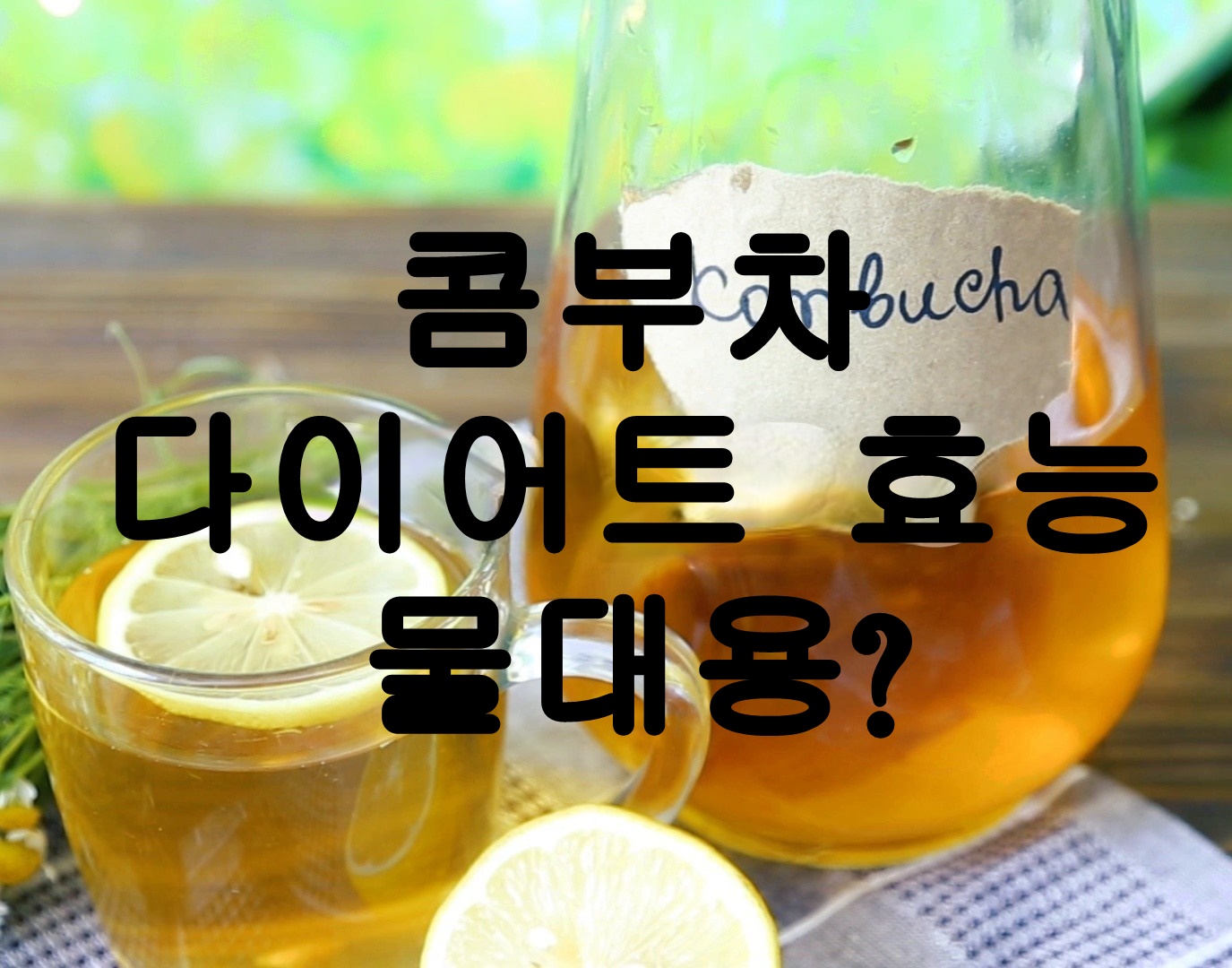 콤부차 효능 다이어트