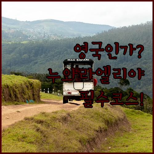 누와라 엘리야 영국식 건축물 투어와 ..