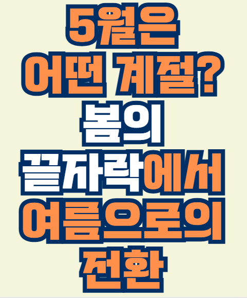 5월