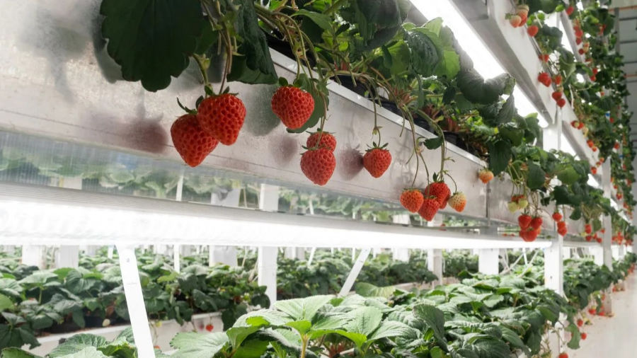 농신보 담보대출 자격