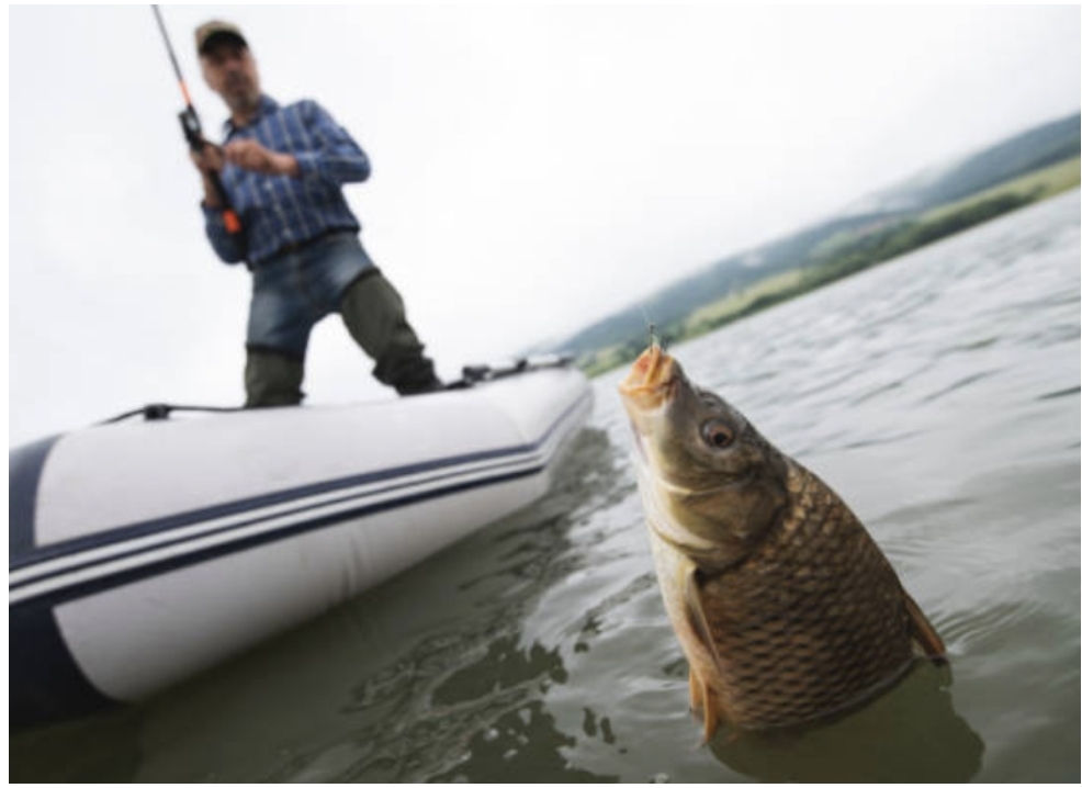 잉어를-낚시하는-모습