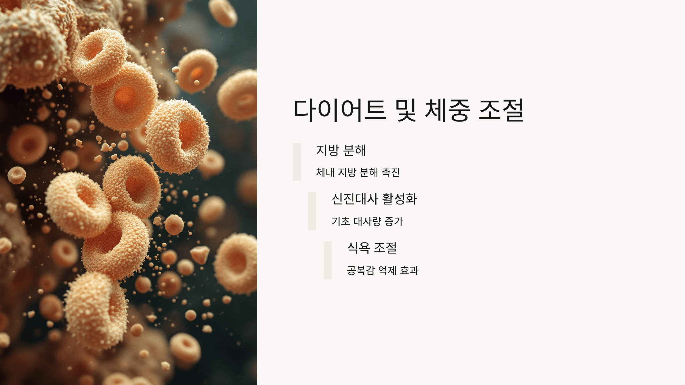 마늘 사진입니다.