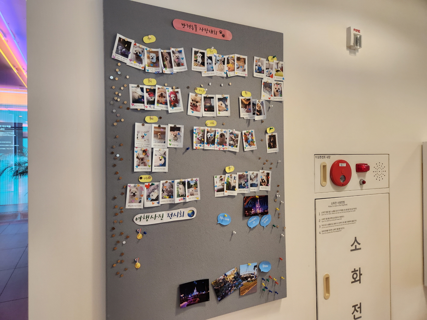 위워크서면점 커뮤니티 게시판