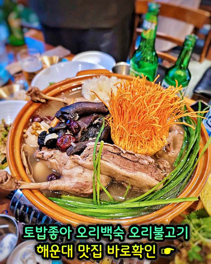 부산 해운대 맛집 무항생제 1등급 오리 백숙
