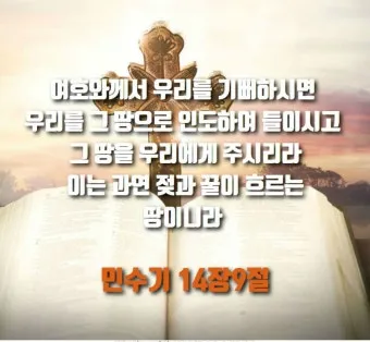 가나안 땅 이스라엘 민수기 13장_22