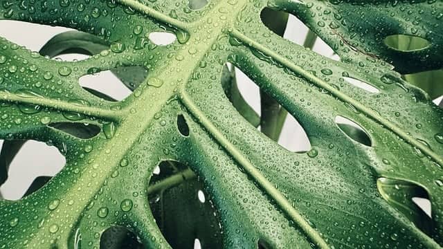 한옥과 스페인의 '안달루시아 스타일(Andalusian Architecture)'