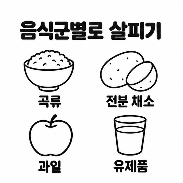 밥, 감자, 사과, 우유 그림을 곡류, 전분 채소, 과일, 유제품으로 나누어 표시한 그림
