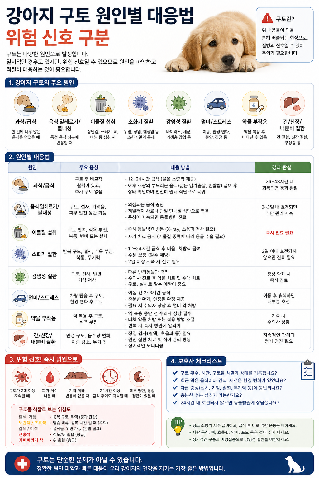강아지 구토 원인별 대응법 설명사진