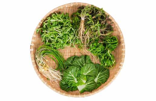 냉이&amp;#44; 이렇게 먹으면 더 맛있고 건강해요!