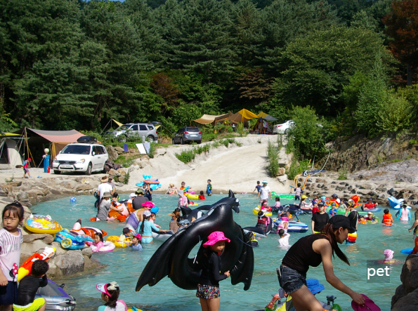 경기-동두천-산야초자연캠핑장-예약-방법-애견-동반-가격-주소-시간-후기
