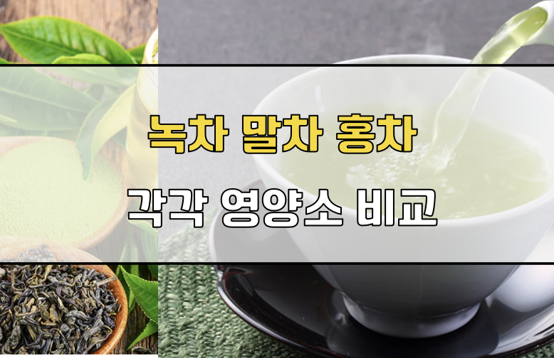 녹차 말차 홍차 영양소