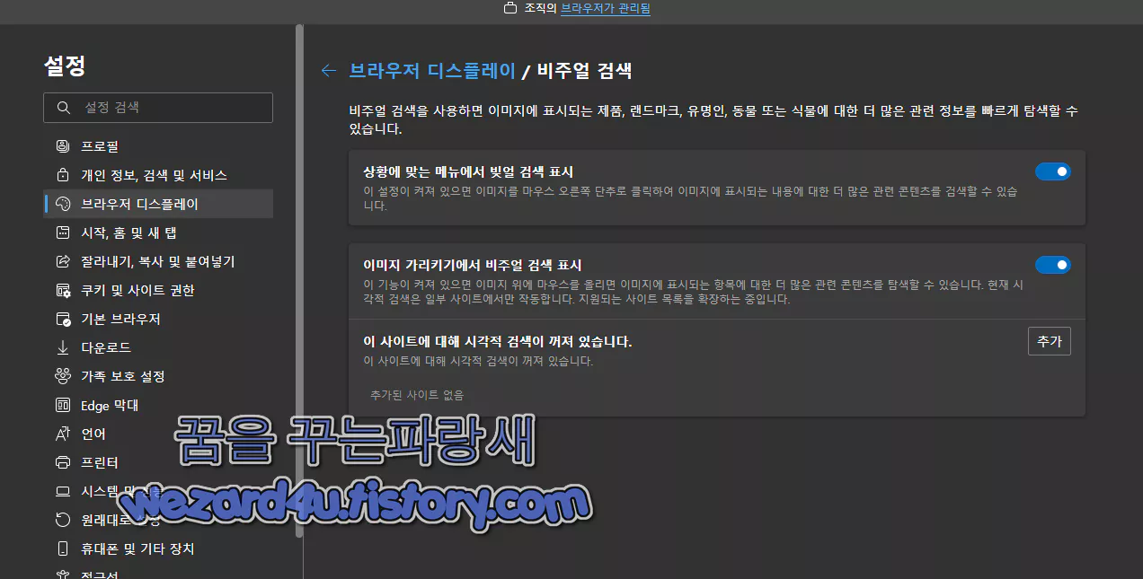 비주얼 검색