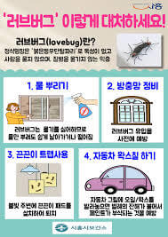 🚫 해충박사가 알려주는 러브버그 퇴치법 BEST 6