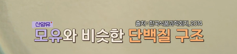 산양유 단백질 효능