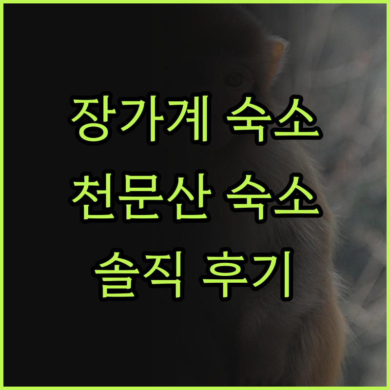 장가계 천문산 숙소, 진실후기! 솔직