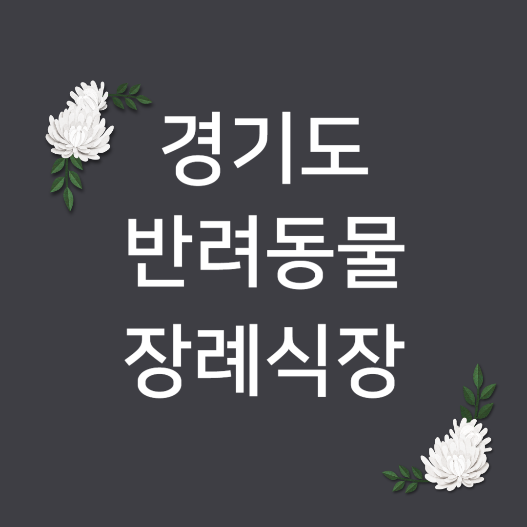경기도 강아지 장례업체