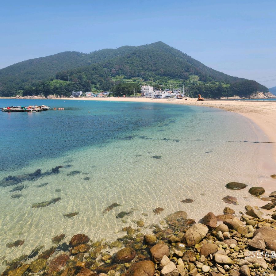 비진도