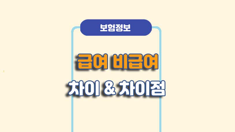의료보험 실비보험 급여 비급여 차이점