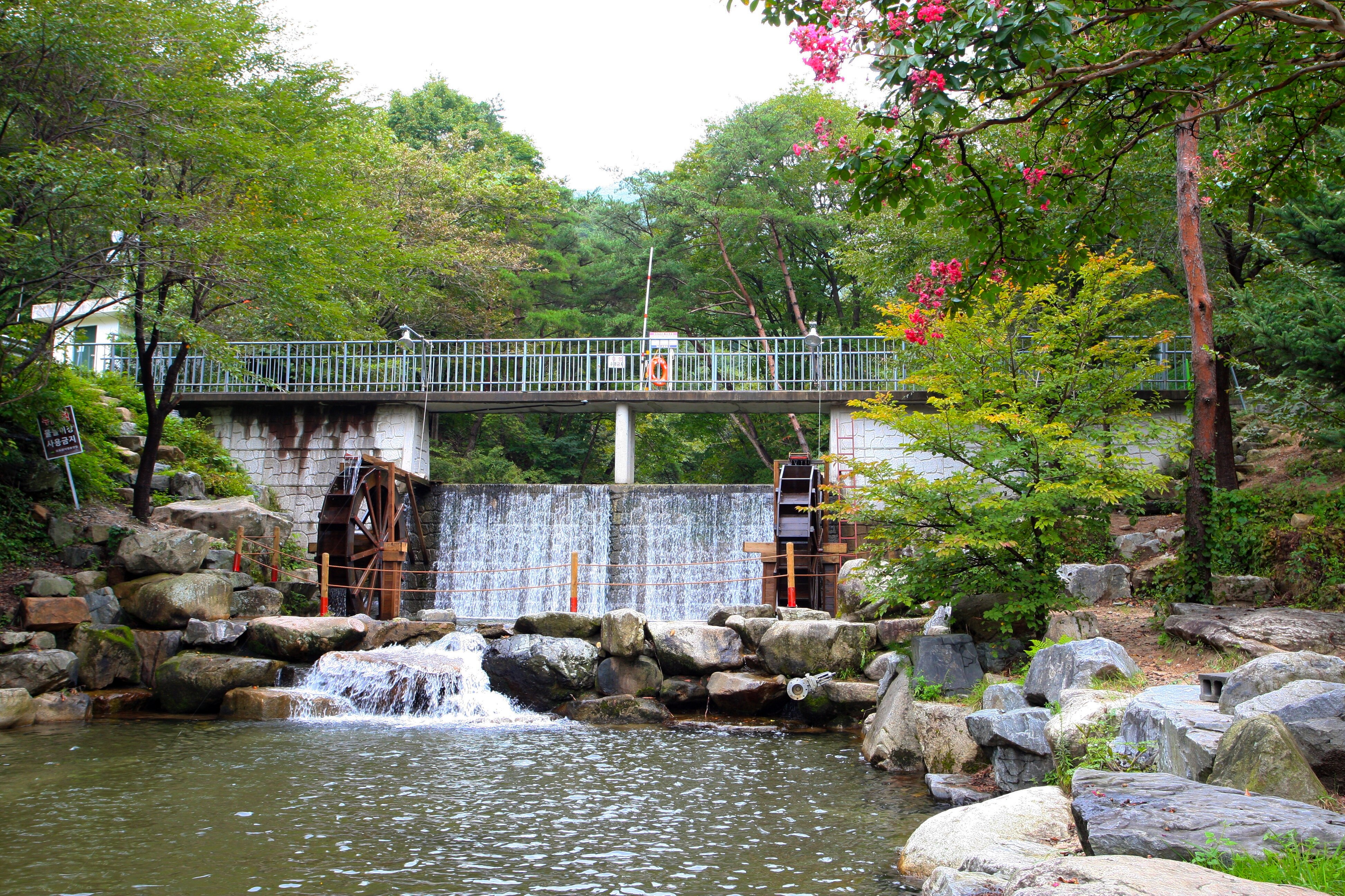 오도산치유의숲 물레방아와 치유 공간｜산림치유 프로그램 체험 장소