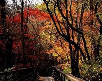 대둔산_7