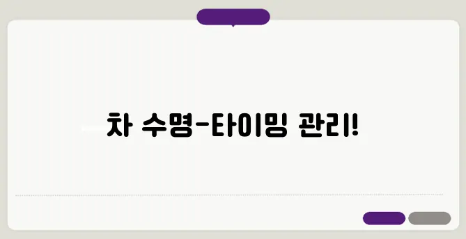 타이밍 벨트 교환시기 이보다 자세히 설명할순없다