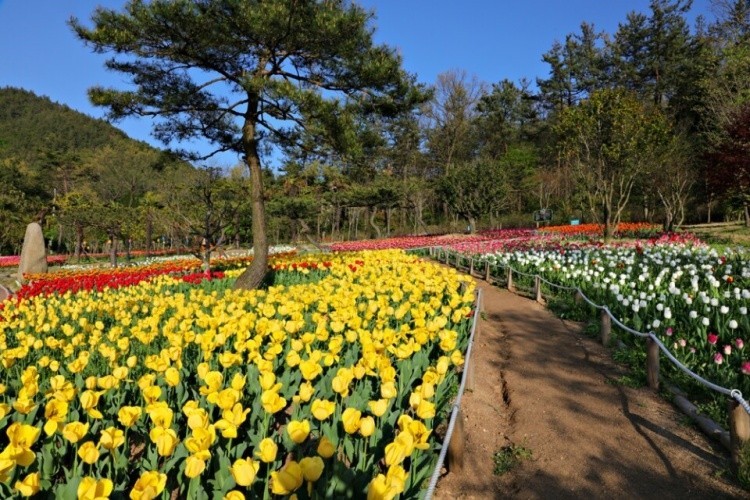 장흥 하늘빛수목원