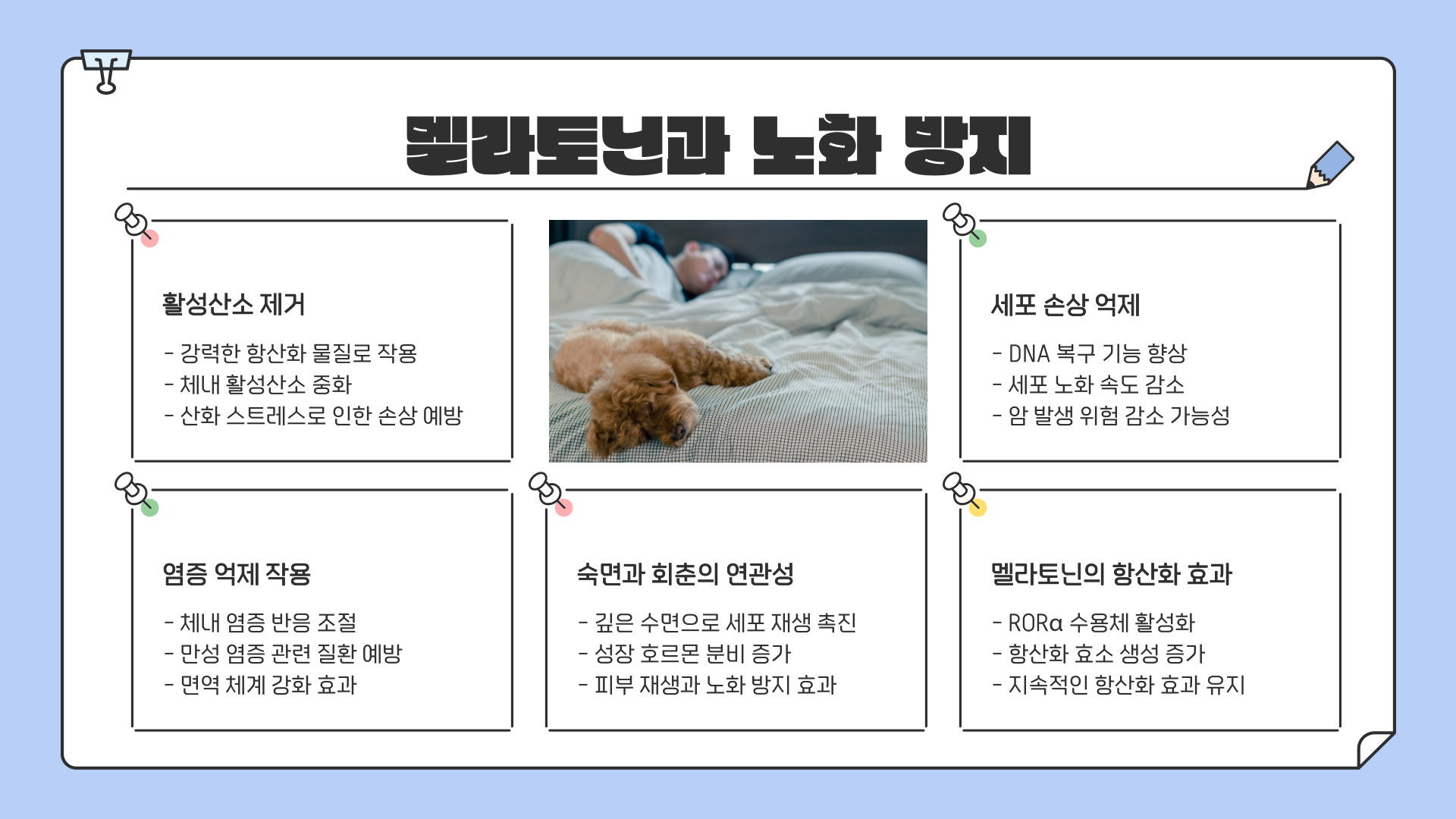 멜라토닌 많은 음식