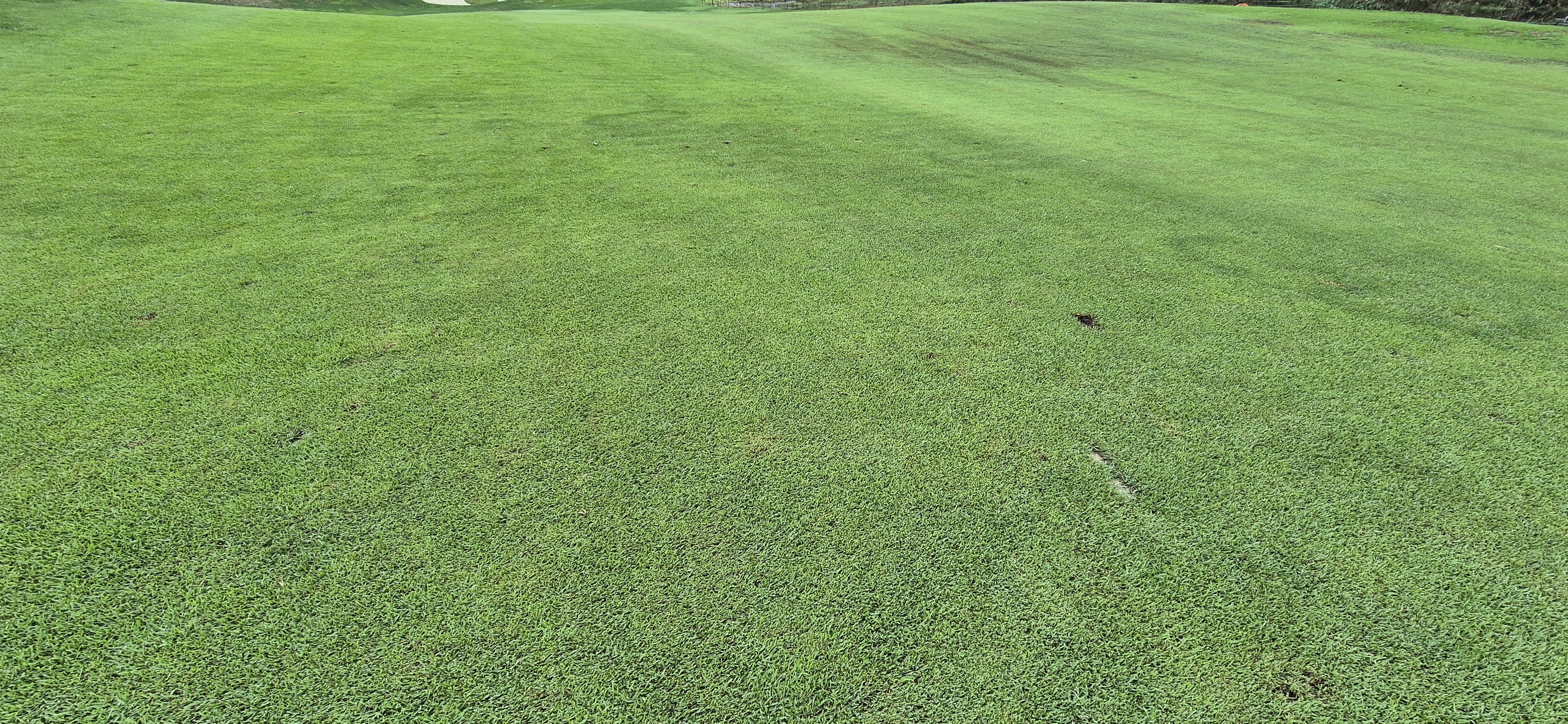 더플레이어스cc