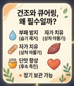 고구마 보관하는법