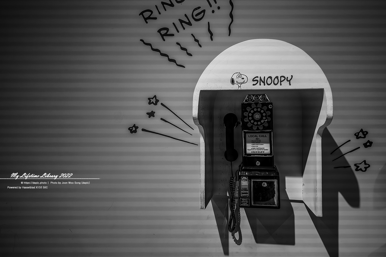 #제주 #스누피가든 #스누피 #2022제주여행