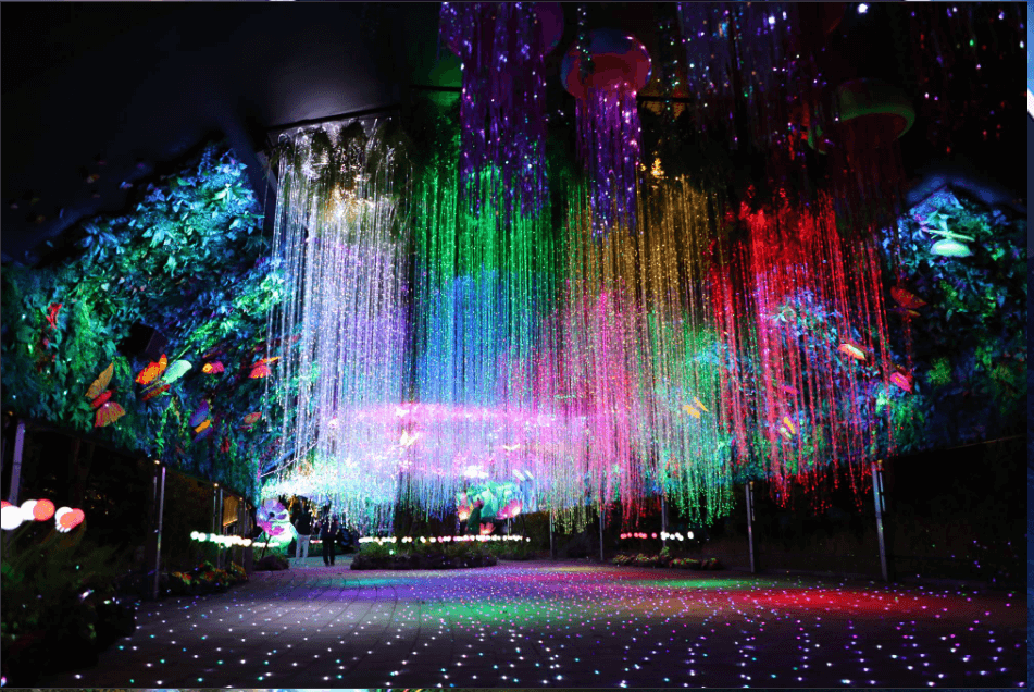 대전 오월드 야간개장