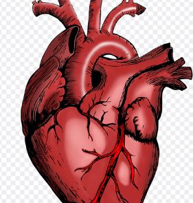 가슴이 답답하고 숨이 차는 증상 원인