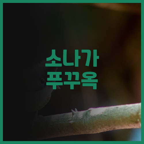 소나가 비치 리조트 & 빌라 푸꾸옥,