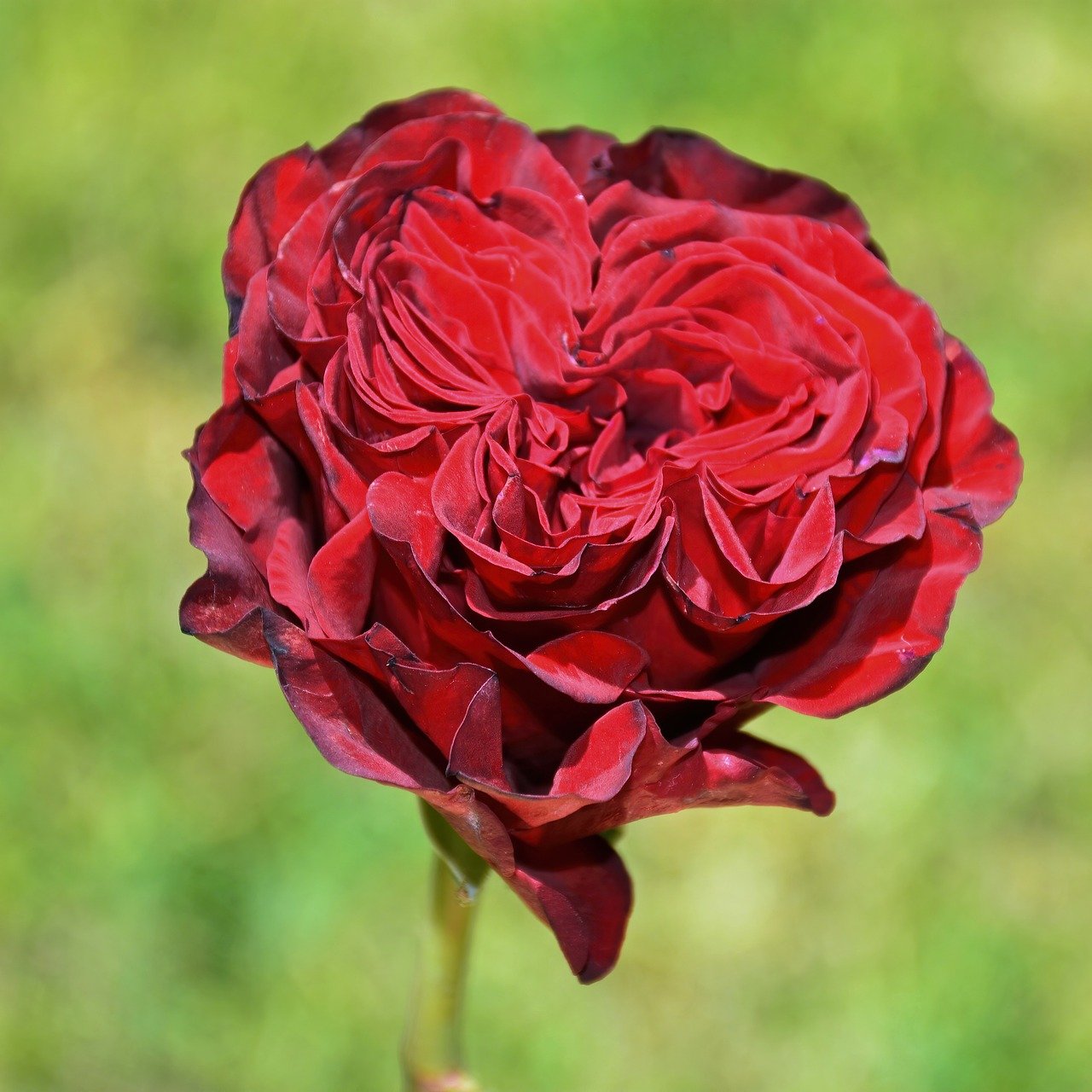 친환경 소비 트렌드 2025