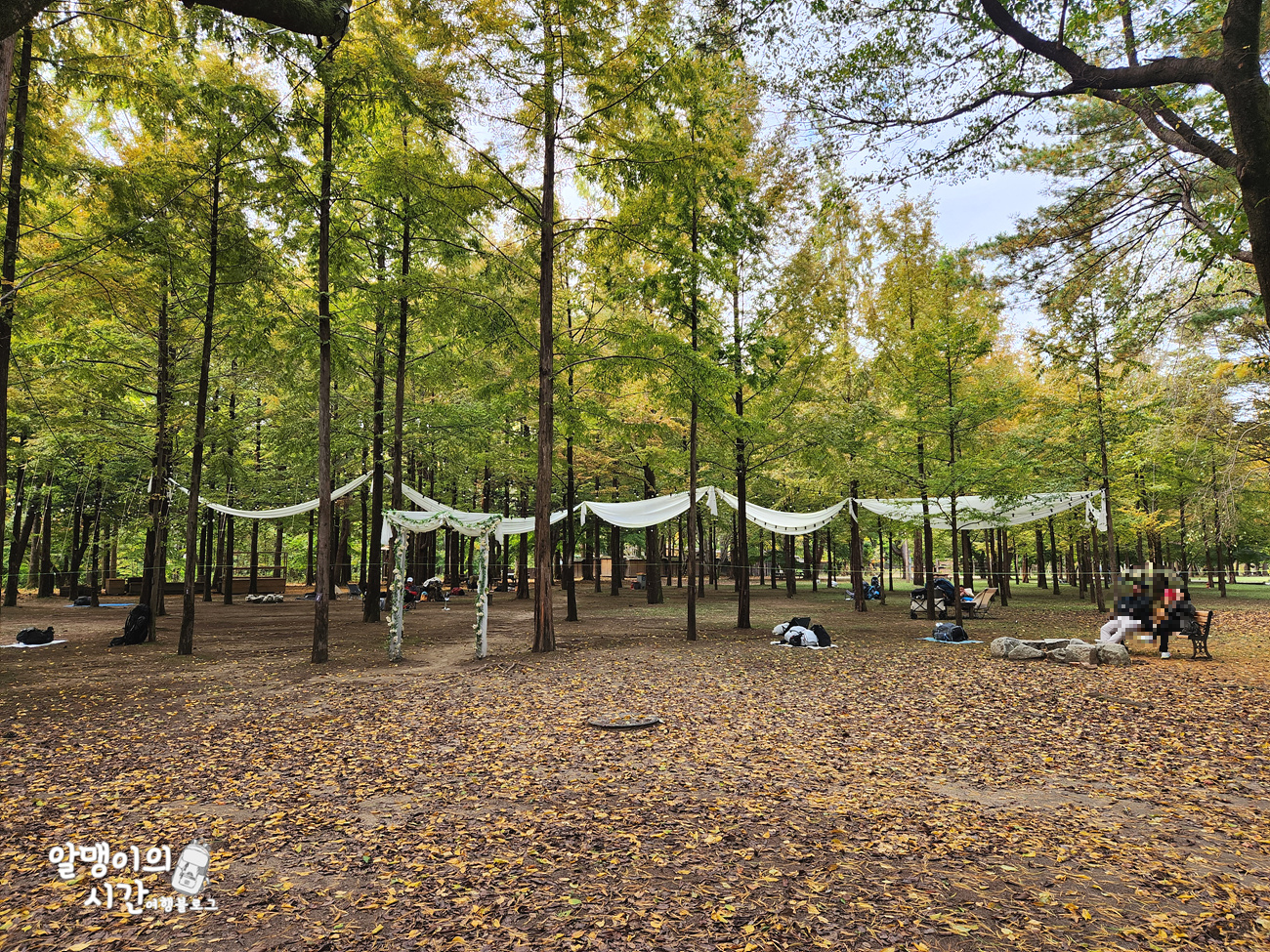 #27 엄마랑 춘천 남이섬 모녀 백패킹 _캠핑 초보자 박지 추천 - undefined - 남이섬 캠핑존 #27 엄마랑 춘천 남이섬 모녀 백패킹 _캠핑 초보자 박지 추천 - undefined - 남이섬 캠핑존