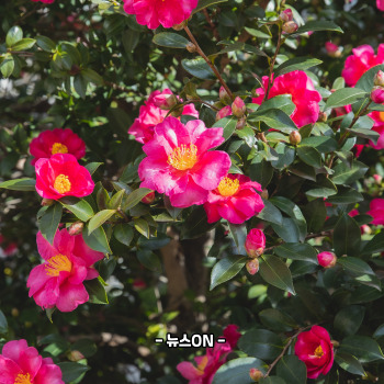 제주도 12월 가볼만한곳 10곳