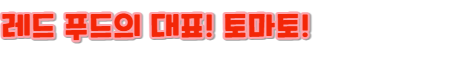 토마토란