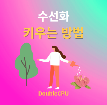 수선화 키우기