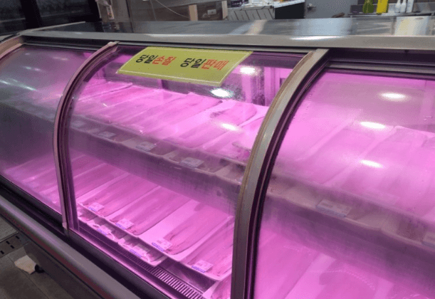 순천 맛집 만천하 장어