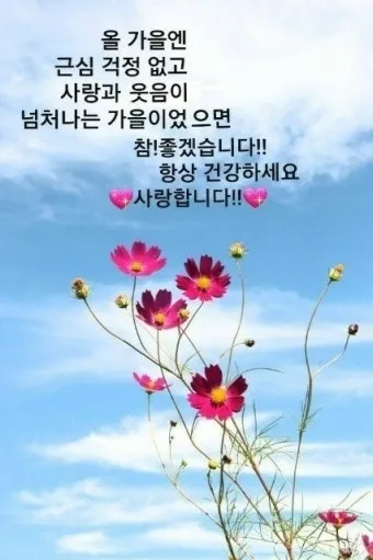 가을 인사말 문구 모음 정리_2