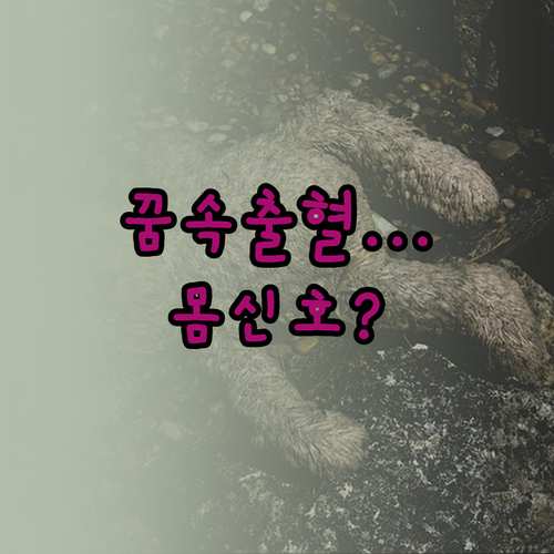 꿈속 출혈이 알려주는 몸의 신호와 대..