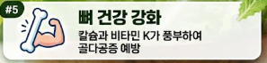 상추 효능
