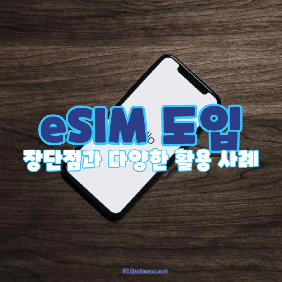 eSIM 도입의 모든 것