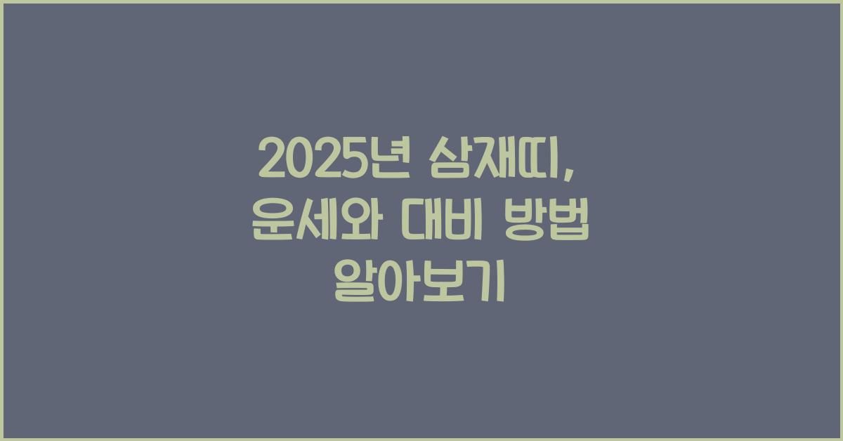 2025년 삼재띠