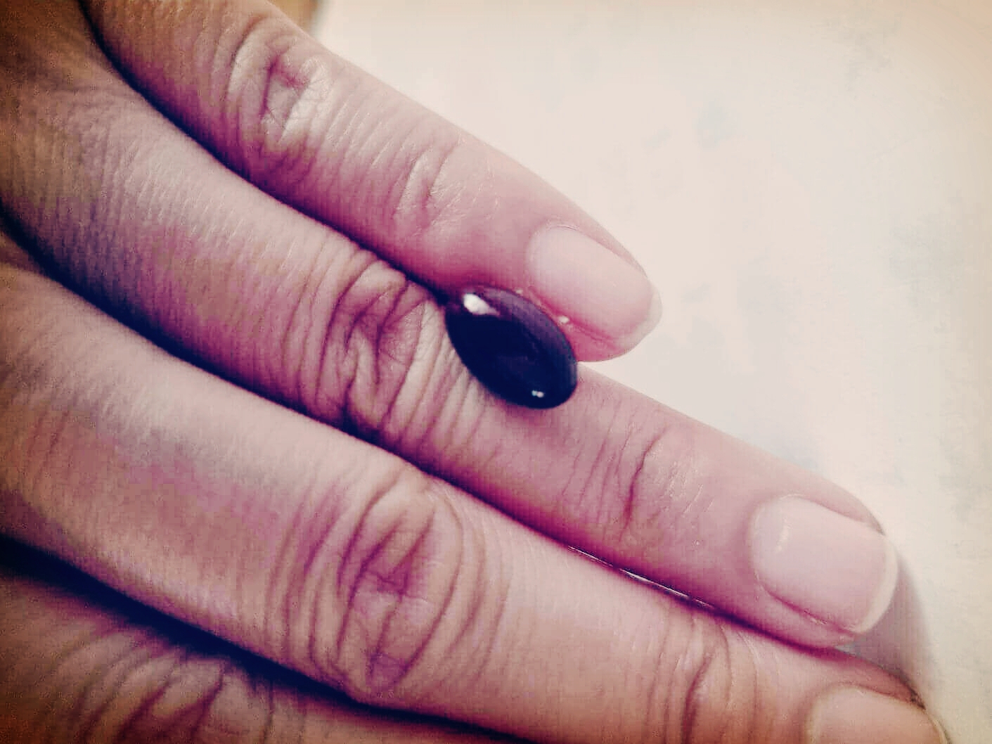 루테인지아잔틴 주요성분