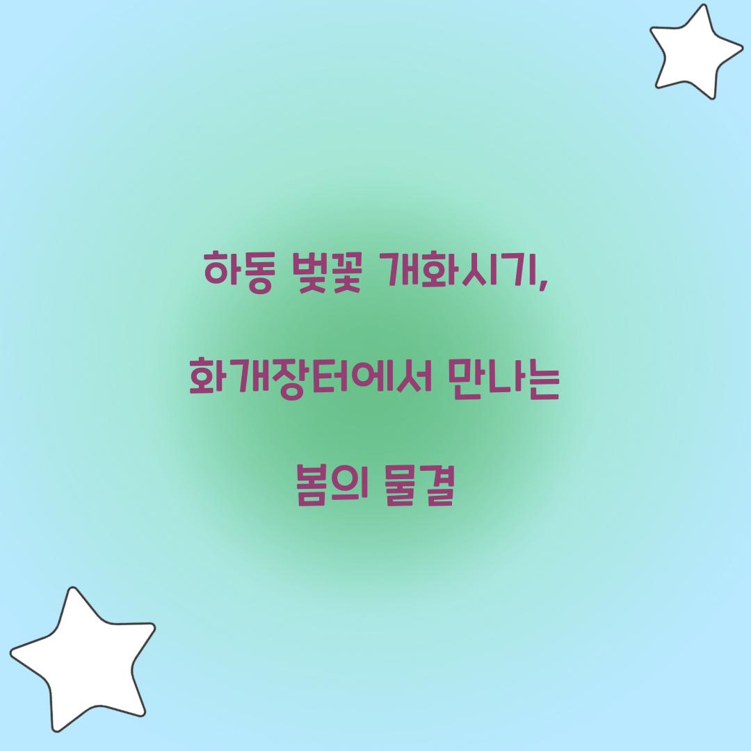 하동 벚꽃 개화시기