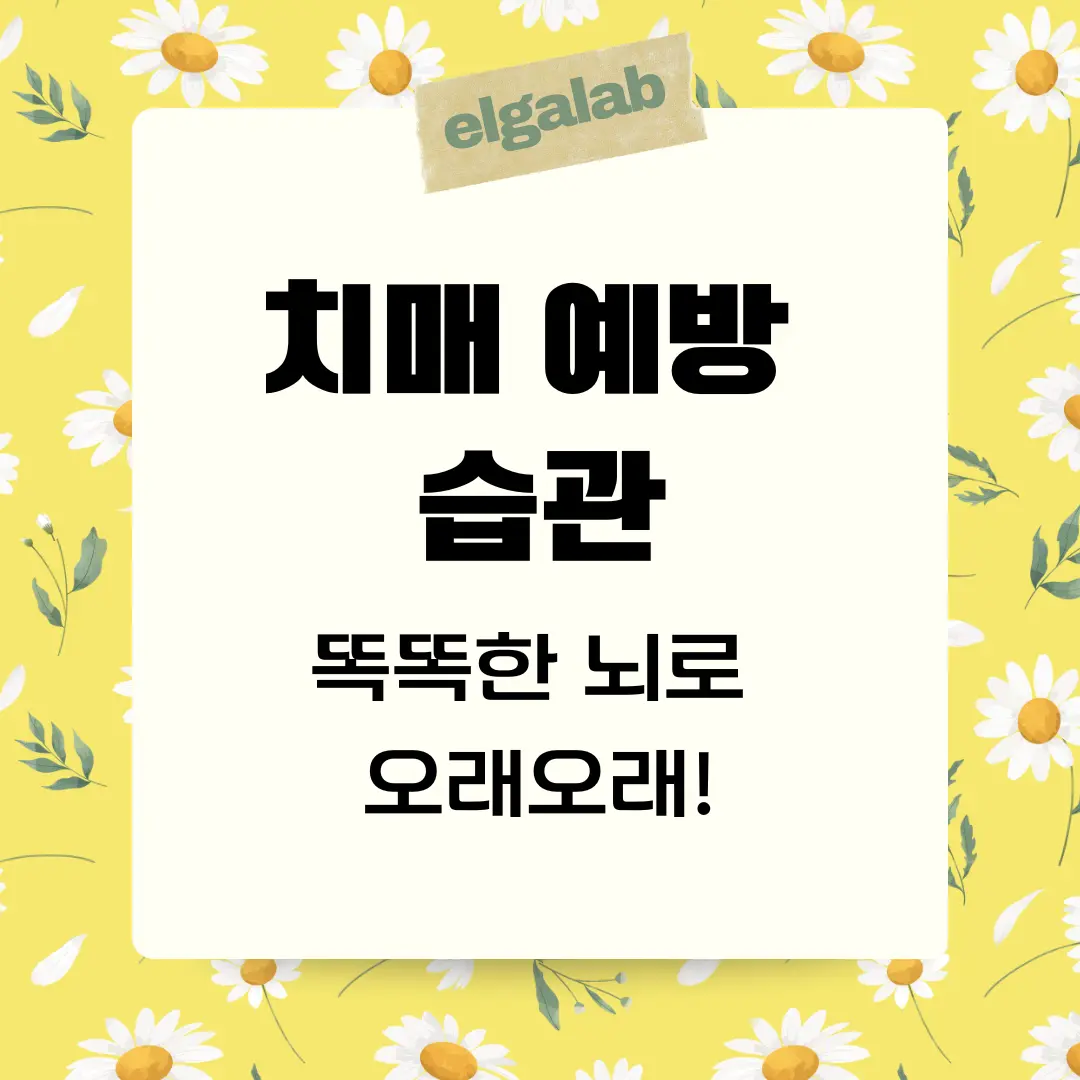 치매 예방 습관과 음식 가이드로 똑똑한 뇌로 유지하기