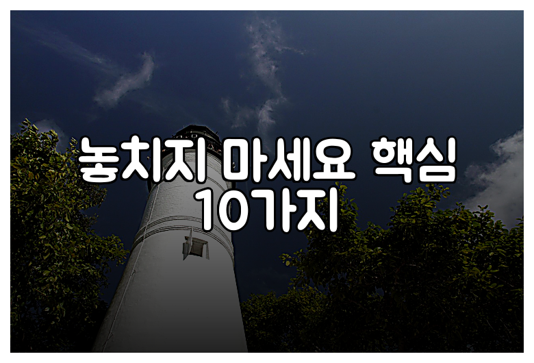 놓치지 마세요 핵심 10가지